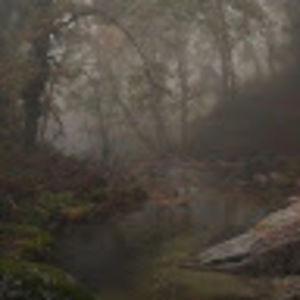 Meet your Posher, Kiki